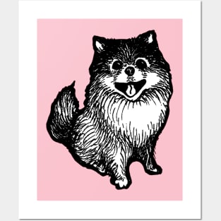 Pomeranian Posters and Art